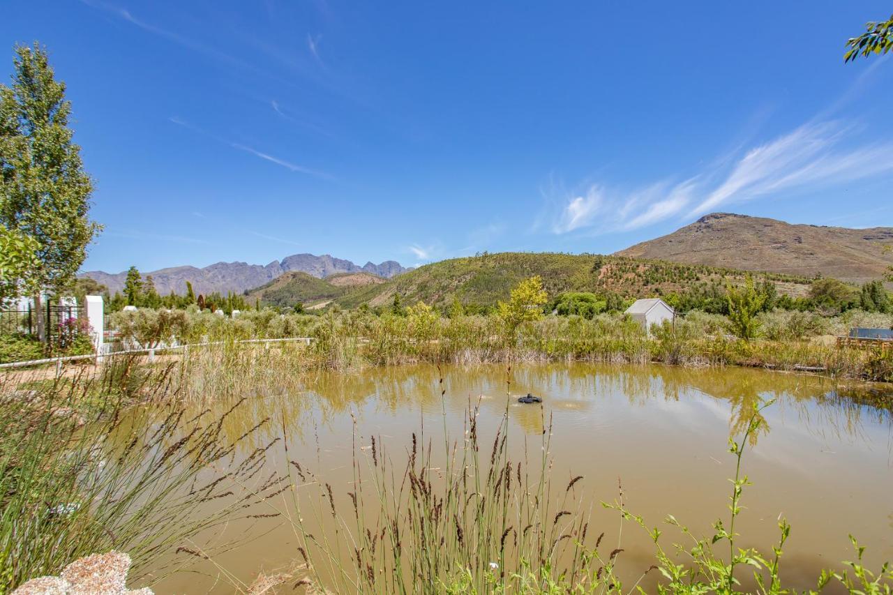Droom Guesthouse Franschhoek Εξωτερικό φωτογραφία