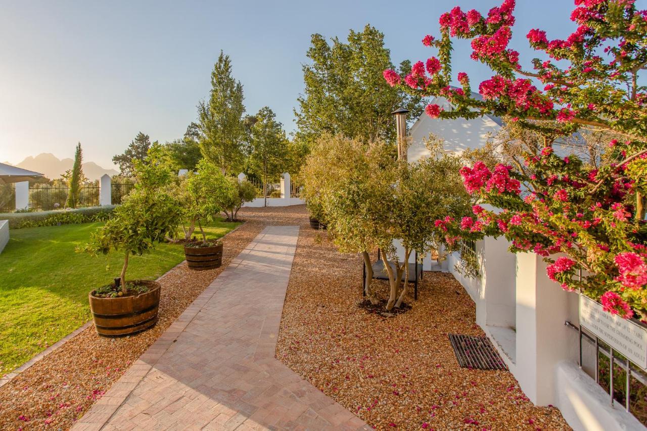Droom Guesthouse Franschhoek Εξωτερικό φωτογραφία
