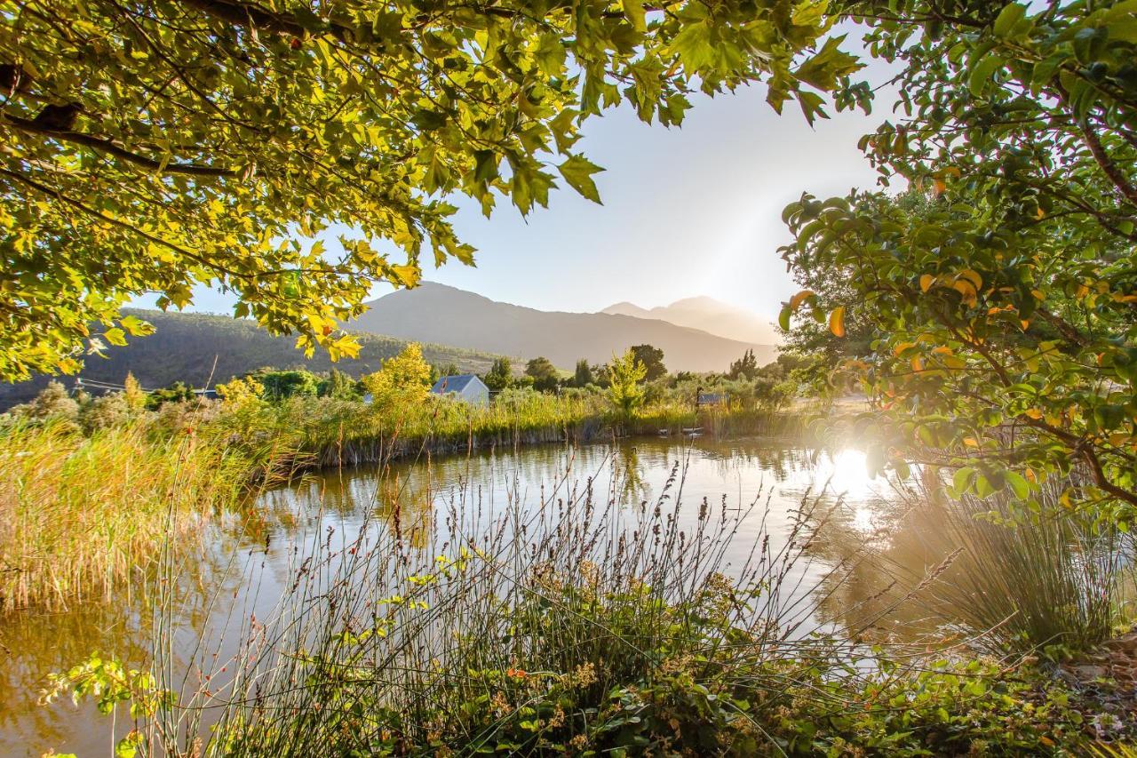 Droom Guesthouse Franschhoek Εξωτερικό φωτογραφία
