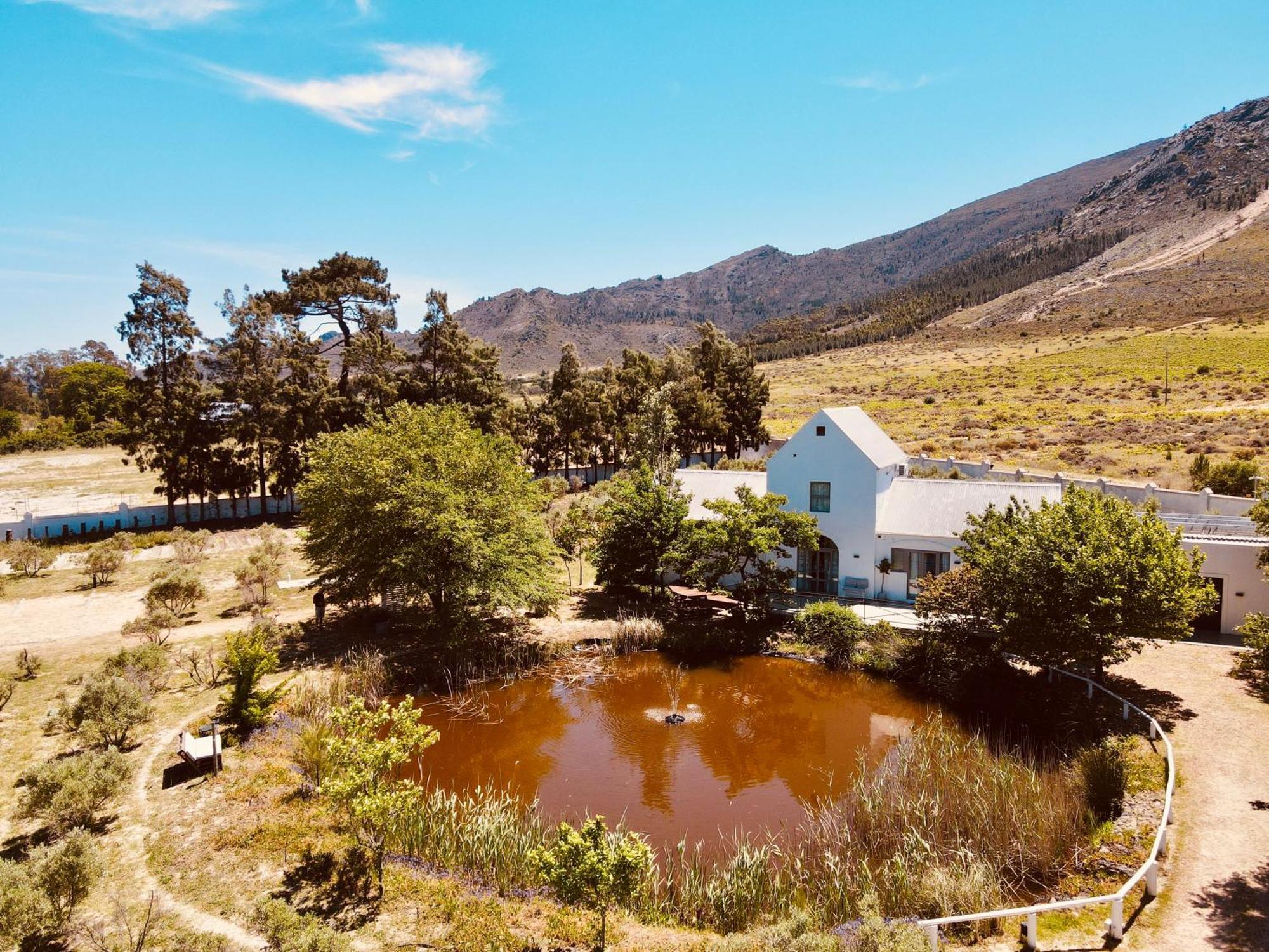 Droom Guesthouse Franschhoek Εξωτερικό φωτογραφία